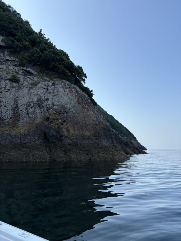 【アクティビティ】海上のプライベート空間へご案内。イカダで過ごす海の上のピクニックプラン - 画像 (4)